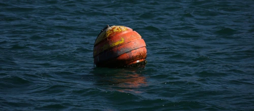 pexels-magda-ehlers-pexels-32693327.jpg.