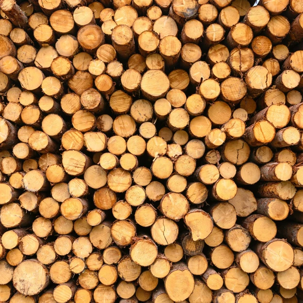 Trä.