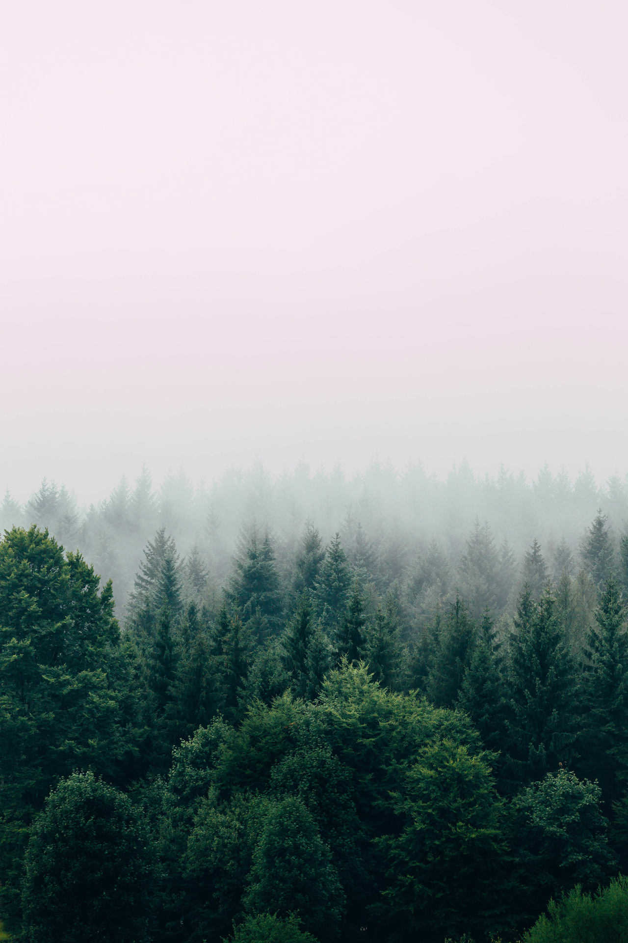 filip-zrnzevic-QsWG0kjPQRY-unsplash.jpg.