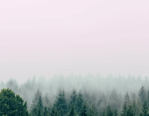 filip-zrnzevic-QsWG0kjPQRY-unsplash.jpg.