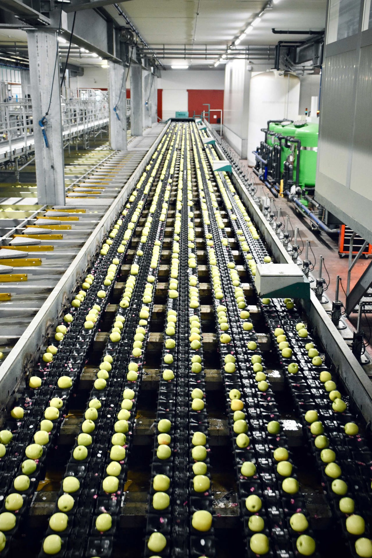arno-senoner-H7rBLuD85Tg-unsplash.jpg.