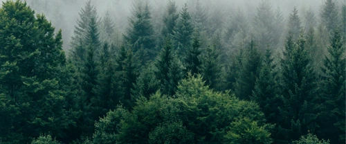 Skärmbild 2025-08-06 104642.png.