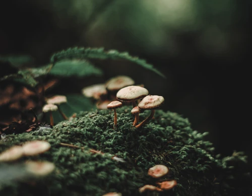 alexx-cooper-VB3cvKx9-Hc-unsplash.jpg.