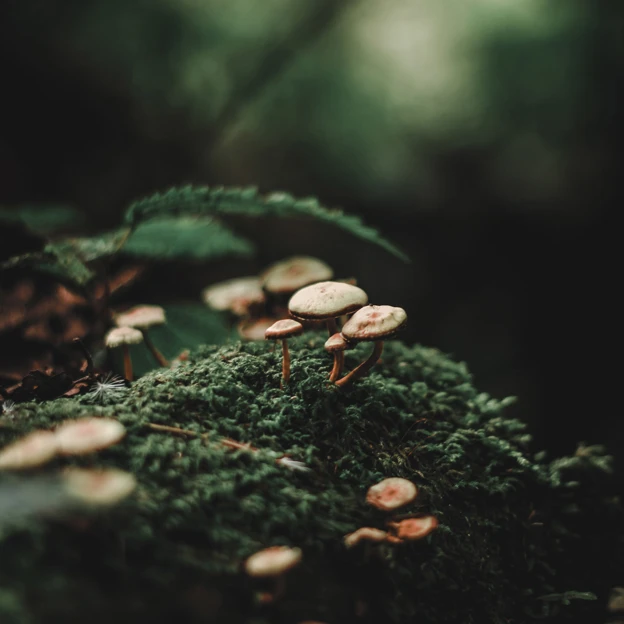 alexx-cooper-VB3cvKx9-Hc-unsplash.jpg.