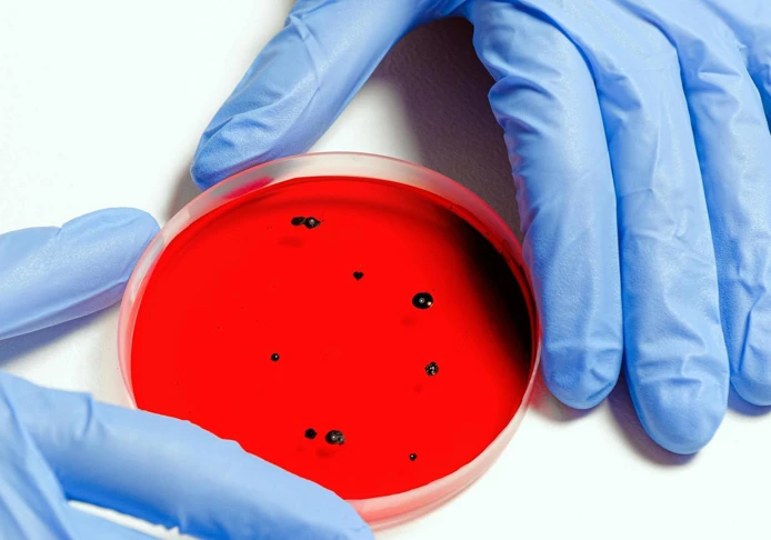 pexels-shvetsa-3786247.jpg.