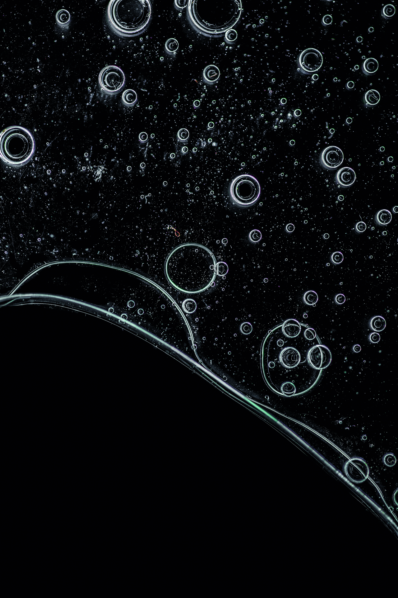 solen-feyissa-7RT6vDcWbPk-unsplash_CMYK.jpg.