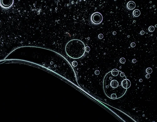 solen-feyissa-7RT6vDcWbPk-unsplash_CMYK.jpg.