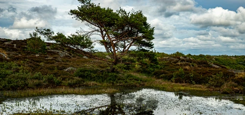 Vattendrag.