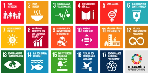 ALLA_karta-globala-malen-logo-och-ikoner.png.
