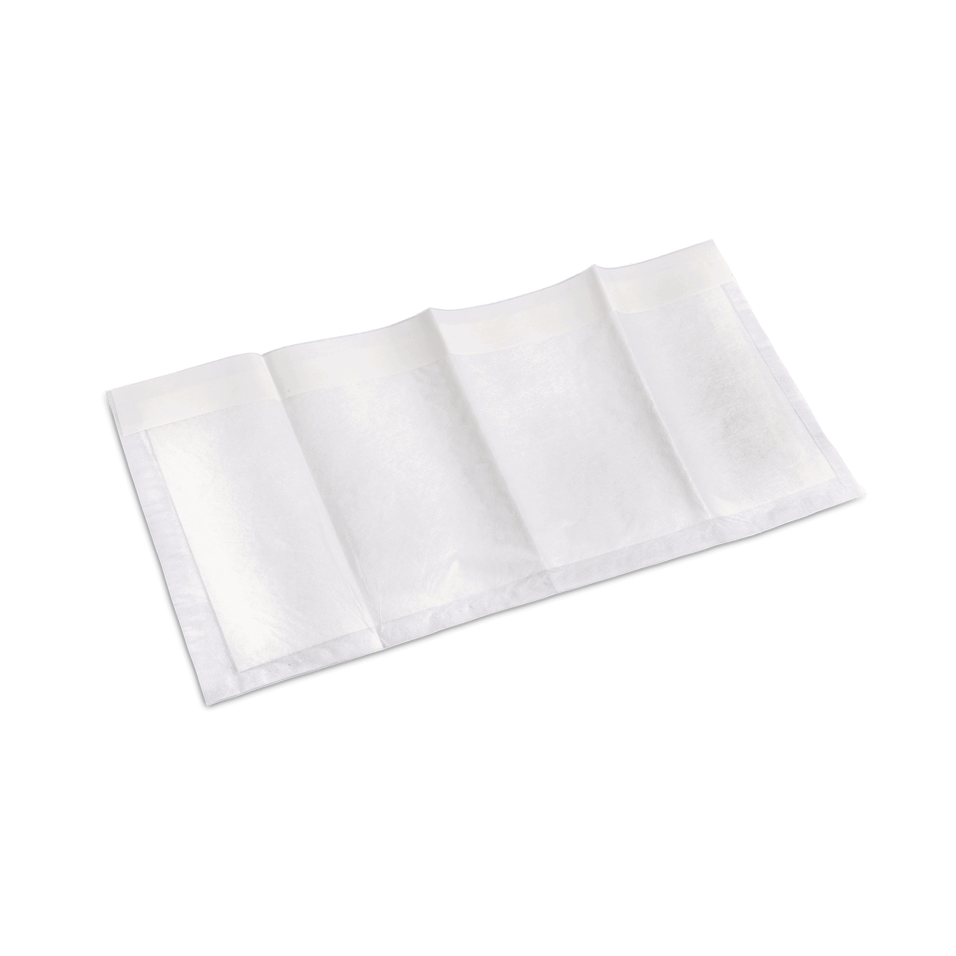 DryMax_F50243_Maxi.png.